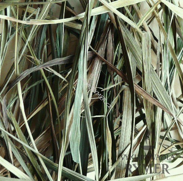 sweetgrass-vykurovadlo