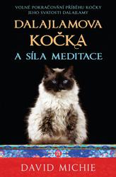 dalajlamova-kocka-a-sila-meditace