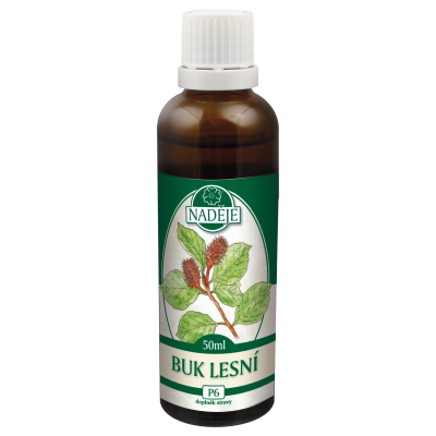 p6-buk-lesni-50-ml