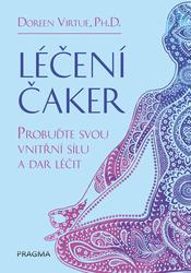 leceni-caker