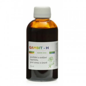 gambit-h-200-ml-7-lihu