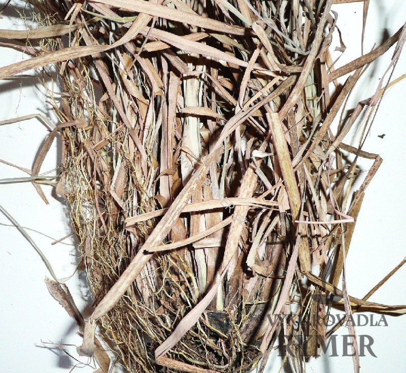 vetiver