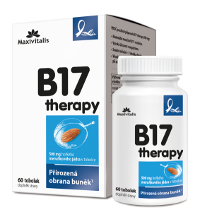 B17 therapy - 60 tablet