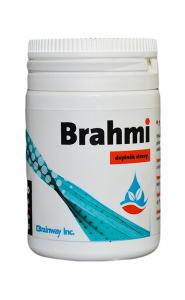 Brahmi 100 kapslí*