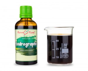 Andrographis (andrografis - právenka) (TCM) - 50