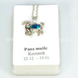 Přívěsek kozoroh, Paua mušle