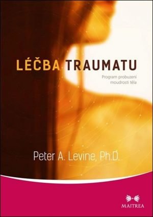 Léčba traumatu