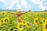 jillwellington-sunflowers-3640938